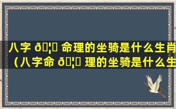 八字 🦅 命理的坐骑是什么生肖（八字命 🦍 理的坐骑是什么生肖呢）